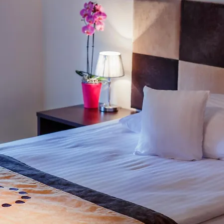 Boutique Hotel's 아파트호텔 바이톰